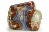 Colorful Polished Condor Agate - Argentina #323843-1